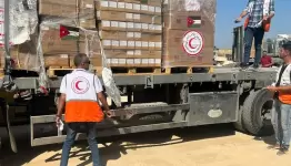 دخول 12 شاحنة