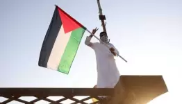 تضامن قطري