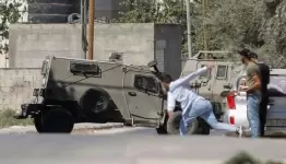 جنين