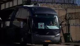 مؤسسات حقوقية