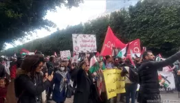 تونس