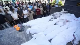 الشهداء