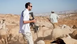 تسليح مستوطنات الضفة