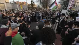 وقفة احتجاجية أمام سفارة الاحتلال