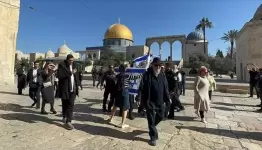 الانتهاكات بحق الأقصى