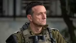 هاليفي