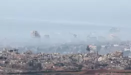 رفح