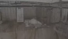 حديقة الحيوان