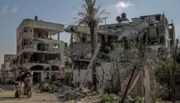 اقتلاع نحو 55 ألف شجرة