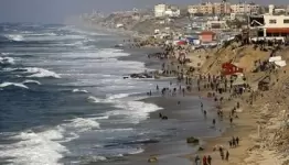 شاطئ غزة