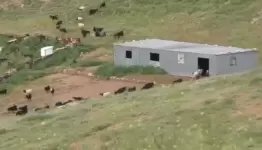مستوطنون