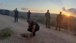نفق الحرية في سجن جلبوع