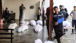 الصحة العالمية