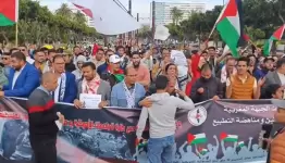 تظاهرة في المغرب