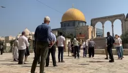 مستعمرون