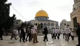 عشرات المستوطنين