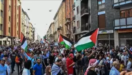 متضامنون مع فلسطين