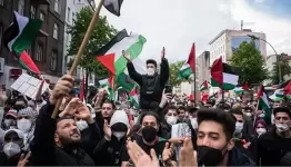 عرب ألمانيا