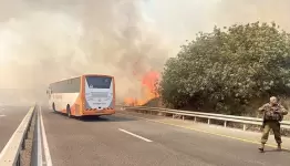 الحرائث قي مغتصبات الشمال