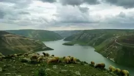 حوض اليرموك