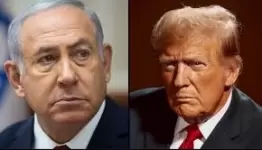 ترامب نتن