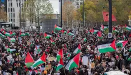 تظاهرات هولندية داعمة للفلسطينيين