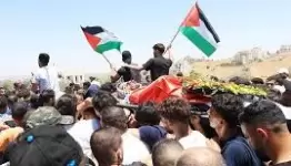 استقبال المحررين