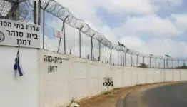 خلف هذه الجدران يقبع 9600 أسير  وأسيرة فلسطينية