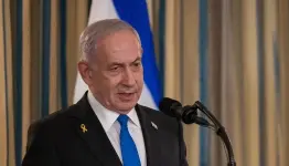 نتن
