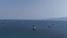 التعزيزات الأمريكية