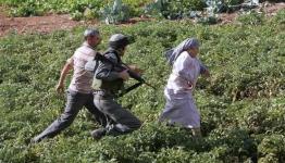 العدو يعتدي على المزارعين الفلسطينيين