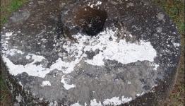 طاحونة
