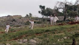 مستوطنون