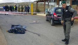 الطفلة الشهيدة رقية أبو عيد