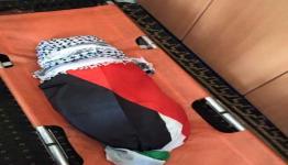 الشهيد الطفل الفلسطيني علي دوابشة