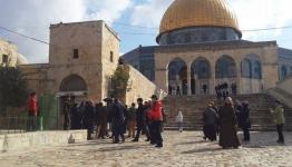القدس المحتلة
