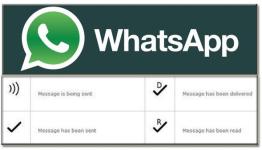 تحديث تطبيق واتساب 