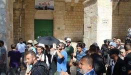 الاحتلال يعتقل مستوطنين