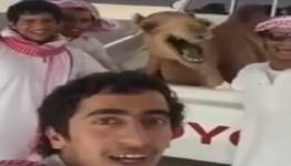 لقطة من الفيديو