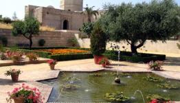 من مدينة شريش