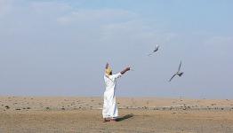 صورة تعبيرية