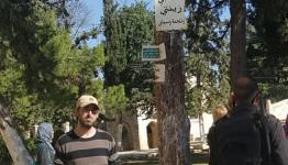 السائح اليهودي
