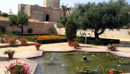من مدينة شريش
