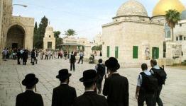 المستوطنون داخل باحات المسجد الأقصى