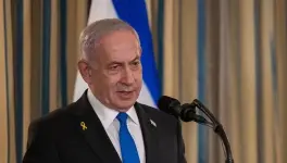 نتن