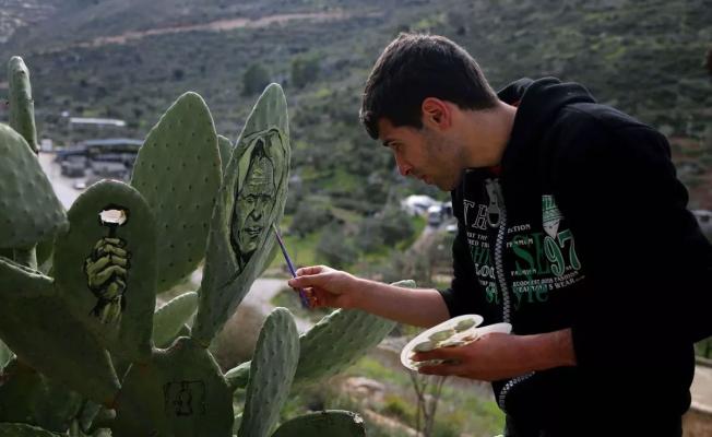 فنان فلسطيني يرسم على الصبار