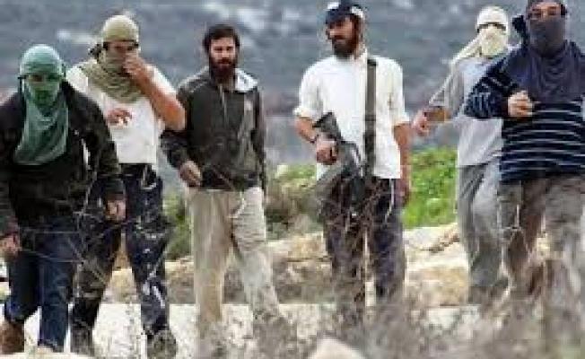 عصابات الإرهاب من "شبيبة التلال"
