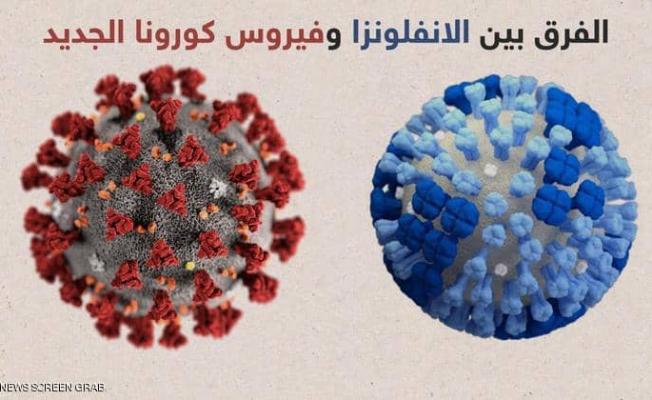 فيروس كورونا والانفلونزا ونزلات البرد