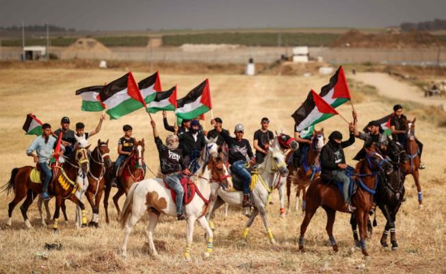 فرقة الخيالة