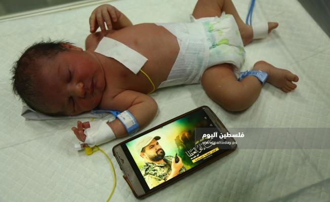 بهاء أبو العطا